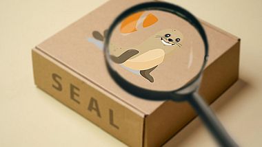 TYPO3 rencontre SEAL : un nouveau souffle pour la recherche
