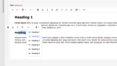 Rapport sur le budget communautaire : une expérience d'éditeur de texte enrichi (RTE) moderne avec TipTap